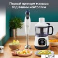 Погружной блендер Moulinex Yummy Gourmet DD55W110