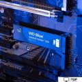SSD WD Blue SN5000 1TB WDS100T4B0E