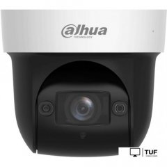 IP-камера Dahua DH-SD29204DB-GNY