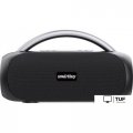 Беспроводная колонка SmartBuy Master SBS-5580