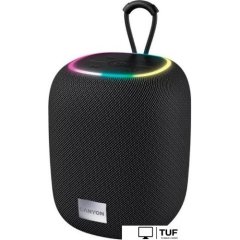 Беспроводная колонка Canyon BSP-8 (черный)