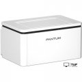 Принтер Pantum BP2300W