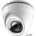 IP-камера Ginzzu HID-2031S
