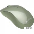 Мышь Canyon MW-11 (зеленый)
