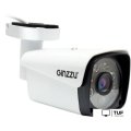 IP-камера Ginzzu HIB-5301A