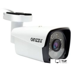 IP-камера Ginzzu HIB-5301A