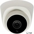 IP-камера Tantos TSi-Eeco25F