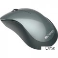 Мышь Canyon MW-11 (черный)