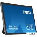 Портативный монитор Iiyama ProLite T2455MSC-B1