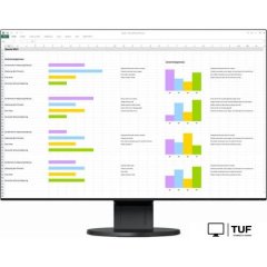 Монитор EIZO FlexScan EV2456-BK