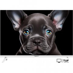 Телевизор Topdevice 24 OS SALUTE TV (белый)