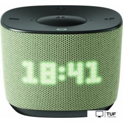 Умная колонка Sber SberBoom Home (фисташковый)