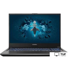 Игровой ноутбук Colorful Evol X17 AT 23 A10003400439