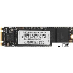 SSD AMD Radeon R5 256GB R5M256G8
