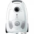 Пылесос Electrolux EEG41IW