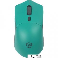 Мышь Raskat MG009WR