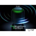 Умная колонка Sber SberBoom (марсианский красный)