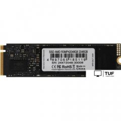 SSD AMD Radeon R3 2TB R3MP42048G8