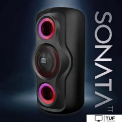 Беспроводная колонка Ginzzu GM-233