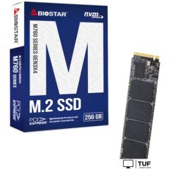 SSD BIOSTAR M760 256GB M760-256GB