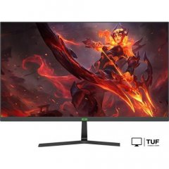 Игровой монитор ELSA EA251S