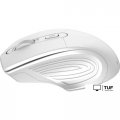 Мышь Canyon MW-15 (белый)