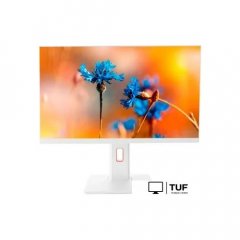 Моноблок ТЕСЛА P24WP 2108500