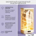Паровая станция Planta PL-GC100