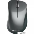 Мышь Canyon MW-11 (черный)