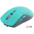 Мышь Raskat MG009WR