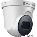 IP-камера Tantos TSi-Beco25FP