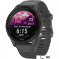 Умные часы Garmin Forerunner 255 (сланцево-серый/черный)