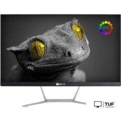 Моноблок ТЕСЛА Z24B 2108500