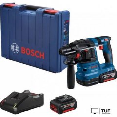 Перфоратор Bosch GBH 185-LI Professional 0611924021 (с 2-мя АКБ, кейс)