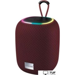 Беспроводная колонка Canyon BSP-8 (бордовый)