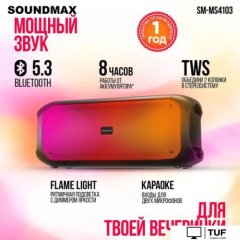 Беспроводная колонка Soundmax SM-MS4103