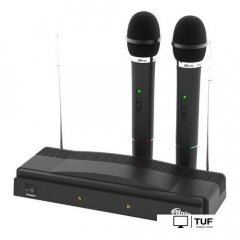 Радиосистема Ritmix RWM-210