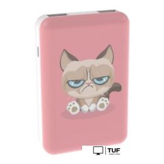 Внешний аккумулятор Ritmix RPB-10007 (сердитый кот)