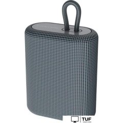 Беспроводная колонка Canyon BSP-4 (серый)