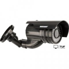 IP-камера Rexant 45-0250
