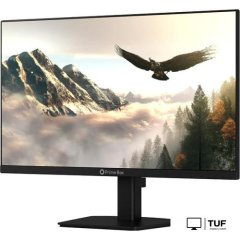 Монитор Prime Box Eagle M24 HVIB