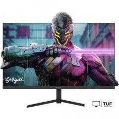 Игровой монитор KTC H24T09P