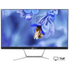 Моноблок ТЕСЛА Z24B 7408250